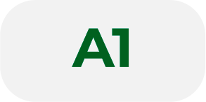 A1