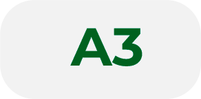 A3