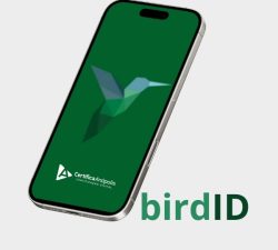 BIRD ID BIRD ID